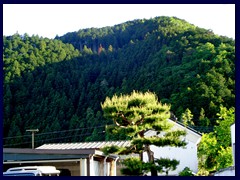 Nikko City 035